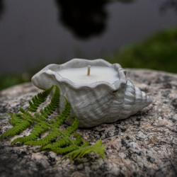 Plaster candlestick «Shell»...