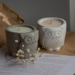 Soy candle in a plaster...